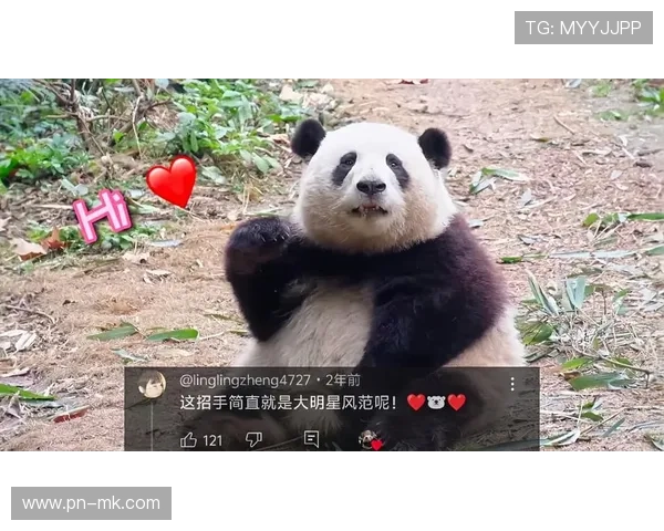 足球巨星观赏大熊猫萌态尽显 引发全球网友热议与喜爱